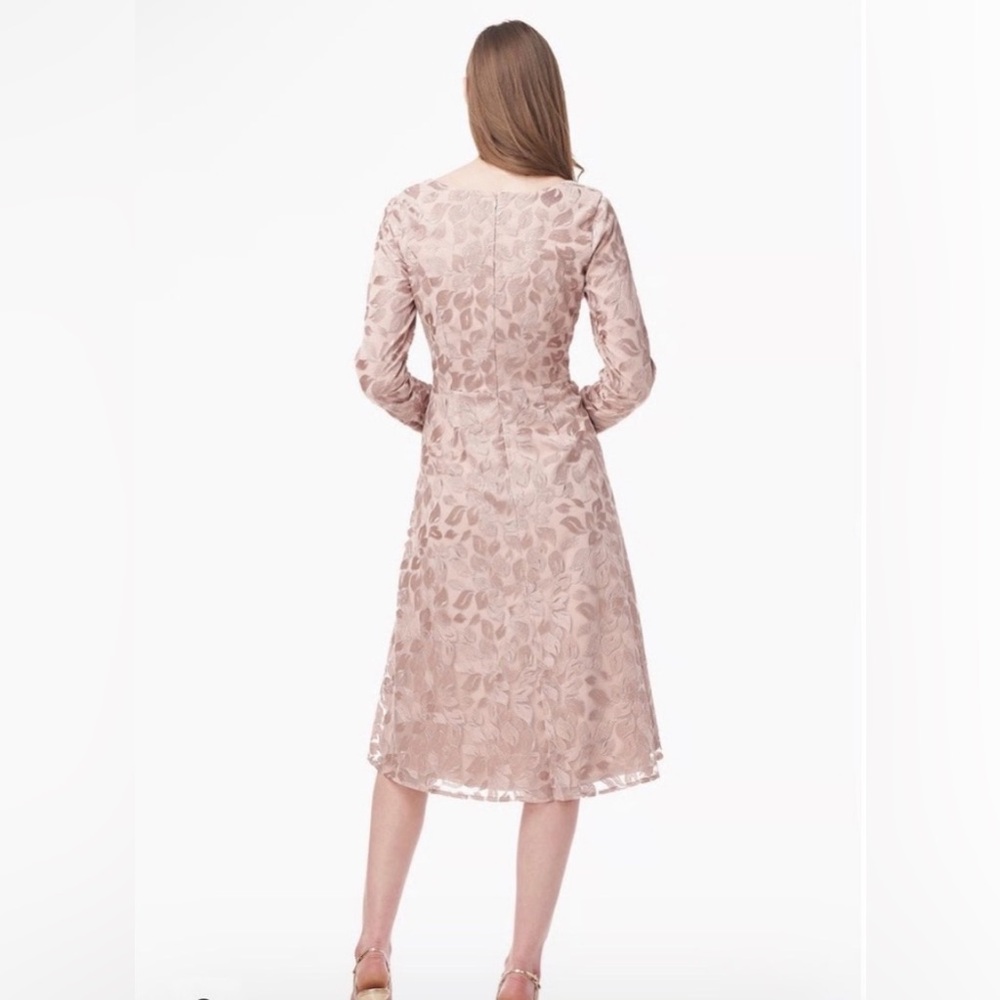 JS Collection Darla Dress Latte Lace Midi Sz 6 Long Sleeves Medium $185 NWT - Picture 3 of 3
